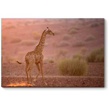 Картина Picsis Одинокий жираф 660x430x40 мм 4984-10937684