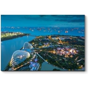 Картина Picsis Неповторимый Сингапур ясной ночью 660x430x40 мм 469-9770098