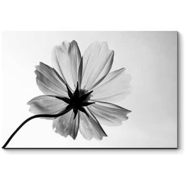 Картина Picsis Монохромный цветок 660x430x40 мм 2802-10794191