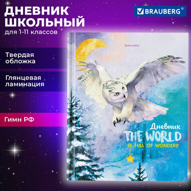 Дневник 1-11 класс 40 л., твердый, BRAUBERG, глянцевая ламинация, "Сова", 106846