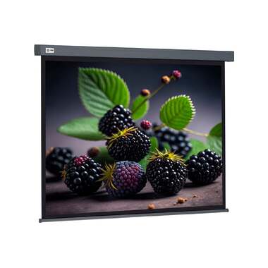 Настенно-потолочный рулонный экран CACTUS 127x127 см Wallscreen CS-PSW-127x127-SG 1:1 серый 1678295 CS-PSW-127X127-SG