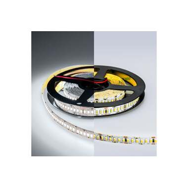 Светодиодная лента Eleganz LUX 3014 240 LED 24W/M 12V холодная 6000К IP20 EL-LS-24W